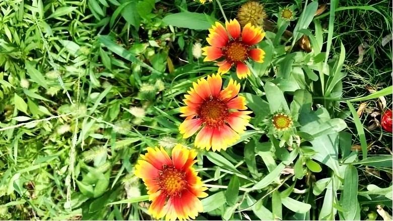 1749430226643481.jpg 20.jpg